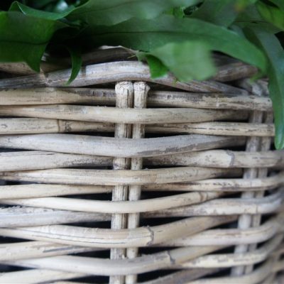 Indoors - Outdoors Archives - Potting Shed